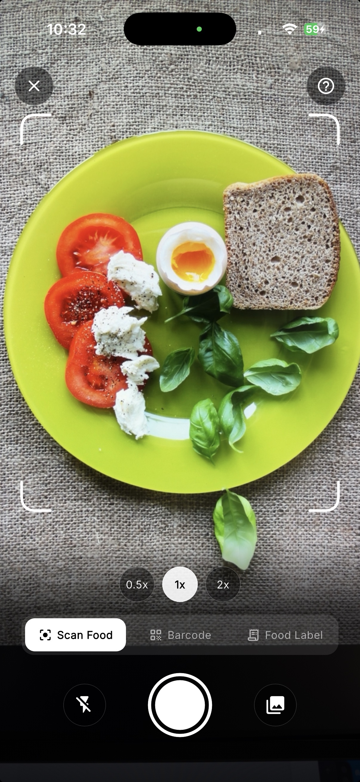 Pointing a phone camera at a plated meal to capture its nutrition.